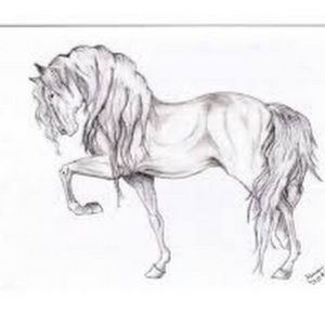 Meet your Posher, Charley